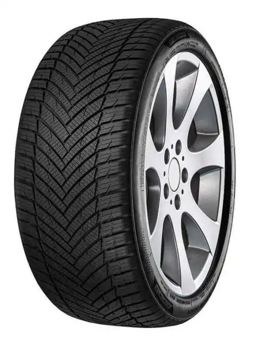 Commander Vite Pneu MINERVA All Season Master 255/45 R 19 104Y XL