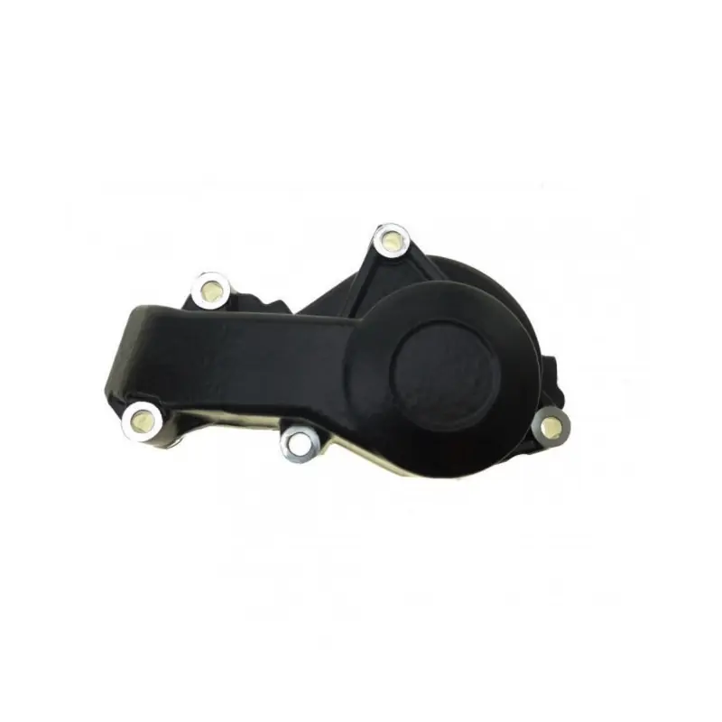 Couvercle Pompe a Eau OEM KTM Rally Factory Replica 690 09-10 Offre Du Jour