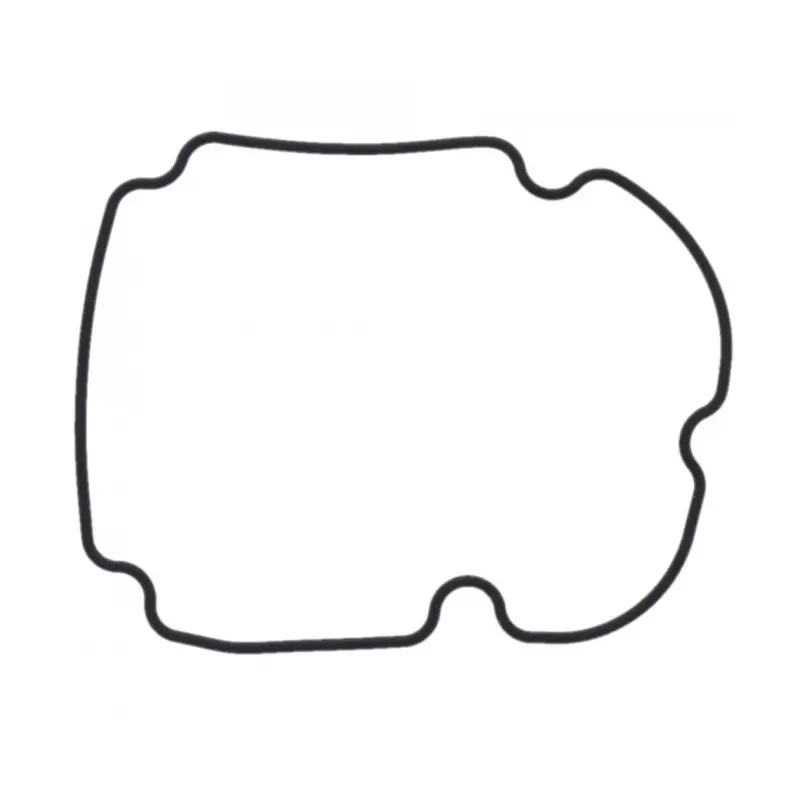 Certifié Joint Carter Allumage OEM Kawasaki Z 750/800/1000 / ZX-9R 900 98-17