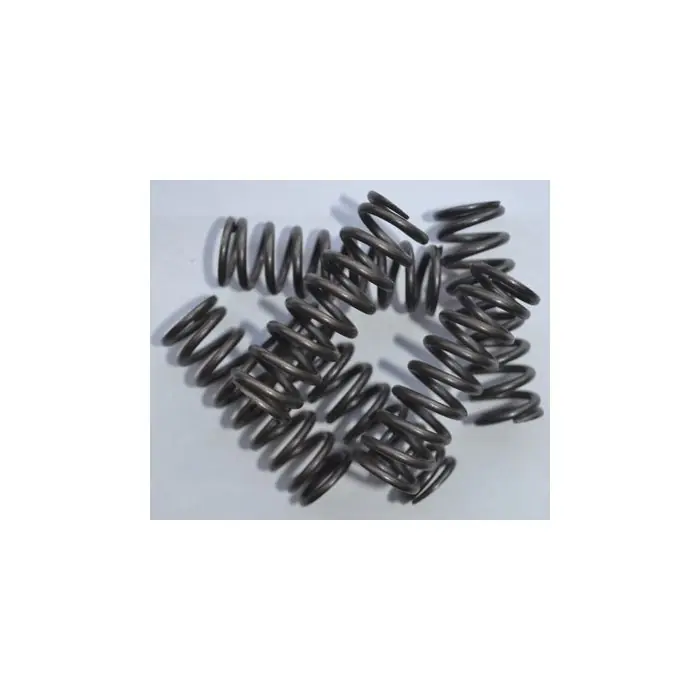 Must-Have Jeux de ressorts pour embrayage Gas Gas, Honda, KTM, Yamaha